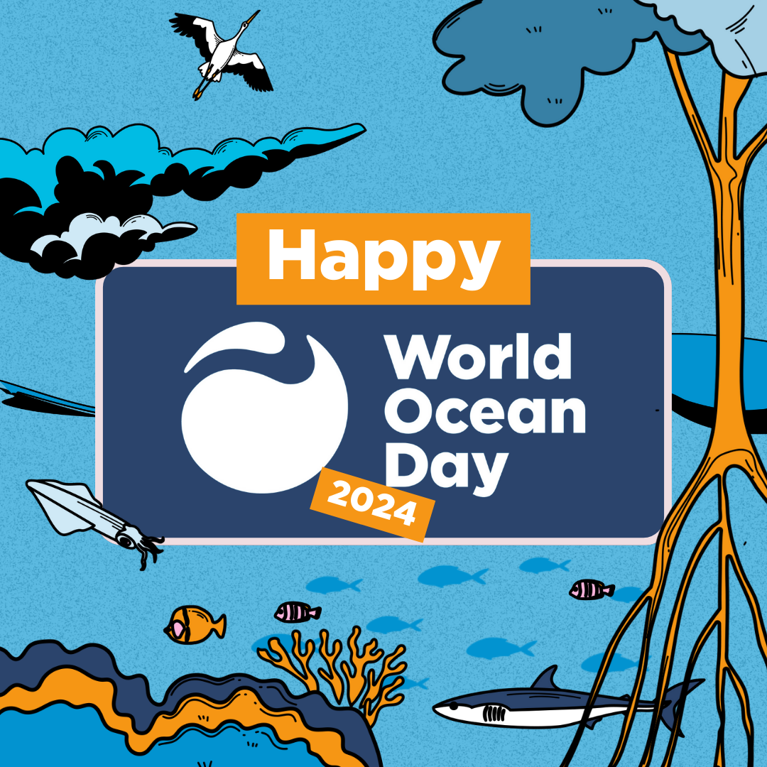 World Oceans Day: The Importance of our Oceanic Ecosystems – Spinnaker ...