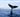 A Safe Haven for Whales: Understanding the Need for Sanctuaries