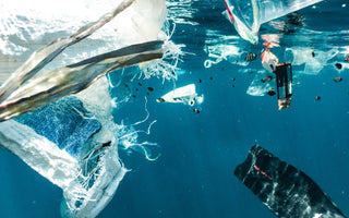 THE JOURNEY OF A PLASTIC BOTTLE: FROM WASTE TO RPET APPAREL