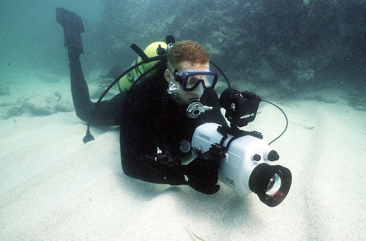 Lights, Camera, Action! Ocean Documentaries That Inspire – Spinnaker ...