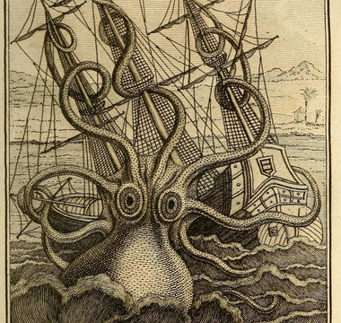 A "colossal octopus" attacking ship, pen and wash[1] by Pierre Denys-Montfort, engraved by Étienne Claude Voysard, 1801
