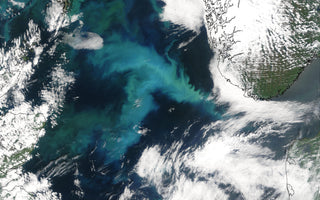 NORTH SEA EXPLORATION: UNVEILING THE RICHES BENEATH THE WAVES