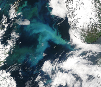 NORTH SEA EXPLORATION: UNVEILING THE RICHES BENEATH THE WAVES