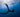 Spinnaker