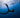 Spinnaker