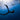 Spinnaker