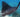 Manta Rays