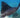 Manta Rays