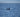 FROM CAPTIVITY TO FREEDOM: THE RESCUED WHALES' STORIES