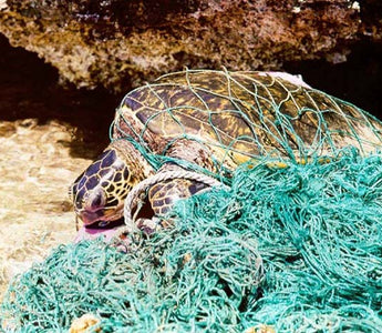 The Power of Community Action: How Beach Clean-Ups Make a Difference
