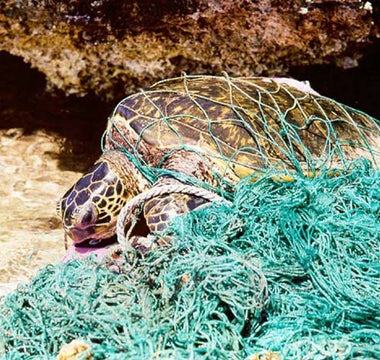 The Power of Community Action: How Beach Clean-Ups Make a Difference